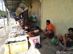 Krisis Papua, Kemenkes Turunkan 3 Dokter Spesialis dan 17 Perawat