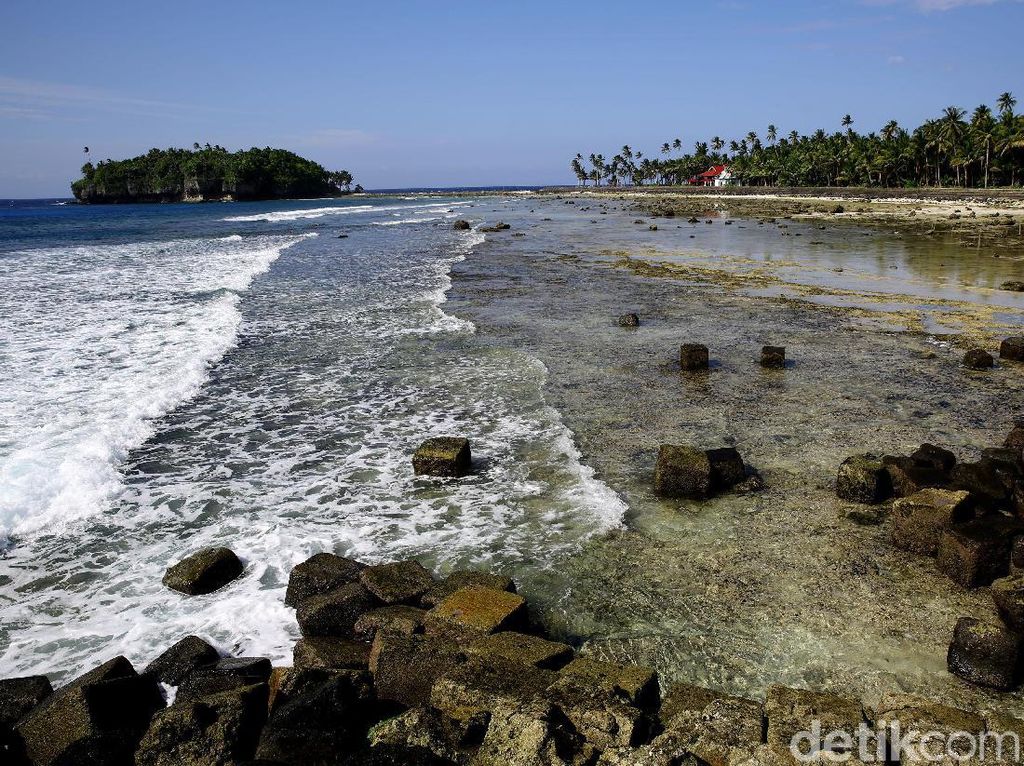 Kearifan Lokal Diperlukan untuk Menjaga Kestabilan Alam Kearifan Lokal Diperlukan untuk Menjaga Kestabilan Alam