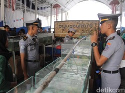 AQUAFEST 2019 Akan Digelar, Teknologi 4.0 Jadi Bahasan