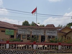 Hewan Peliharaan Rusak Tanaman Tetangga Bisa Didenda di Wonosobo, Berapa?