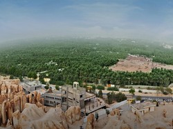 Sudah Tahu? Arab Saudi Punya Oasis Terbesar di Dunia