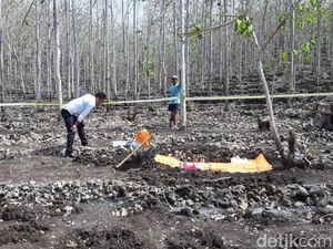 Warga Gunungkidul Temukan Kerangka Manusia di Kebun Jati