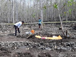 Warga Gunungkidul Temukan Kerangka Manusia di Kebun Jati