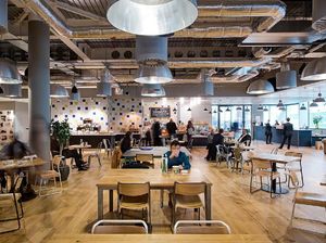 Edan! Startup WeWork Bakar Duit Rp 39 Triliun per Tahun