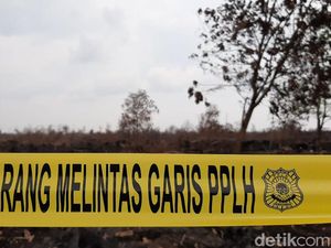 Bupati OKI Bentuk Tim Investigasi Keterlibatan Perusahan di Karhutla