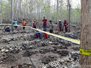 Kerangka Manusia yang Ditemukan di Kebun Jati Gunungkidul Dites DNA