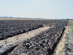 1.725 Ha Lahan Pertanian di Demak Kekeringan Tahun Ini