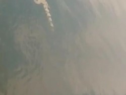 Buaya Menampakkan Diri di Bengawan Solo, Ini Penyebabnya?