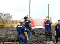 KLHK Segel Perusahaan Tebu di Sumsel Terkait Karhutla