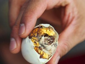 Balut Makanan Ikonik FIlipina, Apakah Halal Dikonsumsi Muslim? Balut Makanan Ikonik FIlipina, Apakah Halal Dikonsumsi Muslim?