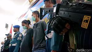 Ini Pelaku Penyelundupan 118 Ribu Baby Lobster yang digagalkan TNI AL