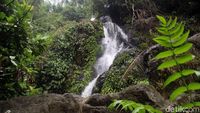 Foto: Terpesona 2 Air Terjun Perawan di Polman