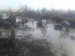 Berburu Harta Karun Kerajaan Sriwijaya, Warga Sampai Dirikan Tenda