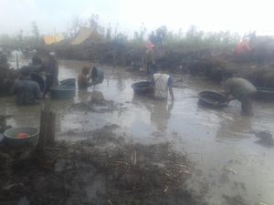 Berburu Harta Karun Kerajaan Sriwijaya, Warga Sampai Dirikan Tenda Berburu Harta Karun Kerajaan Sriwijaya, Warga Sampai Dirikan Tenda