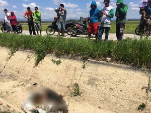 Geger Mayat Wanita dalam Karung di Sulbar, Polisi Turun Tangan