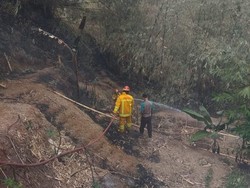 Lahan Bambu Seluas 5 Hektare di Bogor Terbakar
