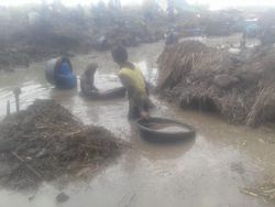 Balai Arkeologi soal Harta Karun Sriwijaya Usai Karhutla: Pencarian Sejak 2015