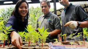 Rehabilitasi Lahan di Sekitar Waduk Situ Gintung