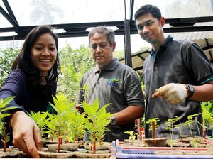 Rehabilitasi Lahan di Sekitar Waduk Situ Gintung Rehabilitasi Lahan di Sekitar Waduk Situ Gintung