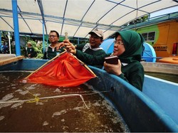 Mini Agrowisata, Tempat Belajar Beternak dan Berkebun di Surabaya