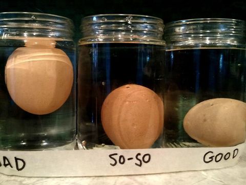[SEO] Telur Masih Segar atau Tidak, Cek dengan 5 Cara Ini Yuk Bun