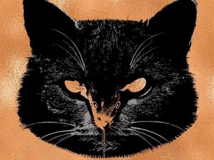 Segera Rilis Novel Baru, Stephen King Ceritakan soal Kucing Lagi?