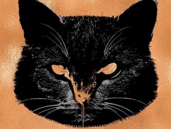 Segera Rilis Novel Baru, Stephen King Ceritakan soal Kucing Lagi?
