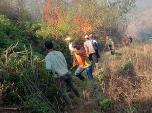 Pemadaman Kebakaran di Gunung Malabar Terkendala Medan dan Air Pemadaman Kebakaran di Gunung Malabar Terkendala Medan dan Air
