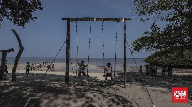 Sisi Lain Baluran, dari Pantai Bama sampai 'Bird Watching'