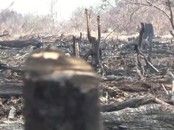 Waspada! Hari Ini Muncul 30 Titik Panas di Riau