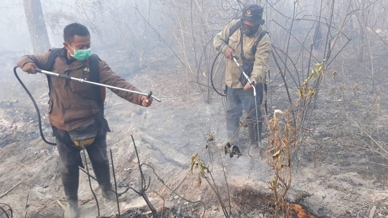 Kebakaran Melanda Hutan di Gunung Merapi