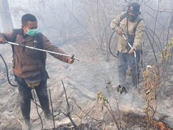 Kebakaran Hutan di Gunung Merapi Berhasil Dipadamkan