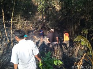 Video: 7 Pendaki Asal Singapura Terjebak Kebakaran di Gunung Raung