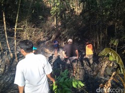 Video: 7 Pendaki Asal Singapura Terjebak Kebakaran di Gunung Raung