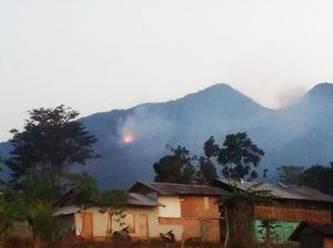 24 Jam Lebih, Kebakaran di Gunung Malabar Bandung Belum Padam 24 Jam Lebih, Kebakaran di Gunung Malabar Bandung Belum Padam