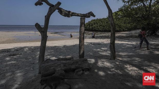 'Secuil' Afrika di Timur Jawa