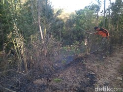 13 Pendaki Terjebak Kebakaran, Jalur Gunung Raung Akhirnya Ditutup