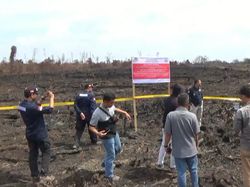 KLHK Segel 64 Perusahaan Pelaku Karhutla