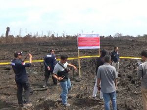 KLHK Segel 64 Perusahaan Pelaku Karhutla KLHK Segel 64 Perusahaan Pelaku Karhutla