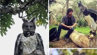 Wujud Makhluk Predator Terbesar di Langit
