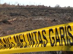 KLHK: 9 Gugatan Karhutla Dikabulkan, Ganti Ruginya Rp 3,15 Triliun