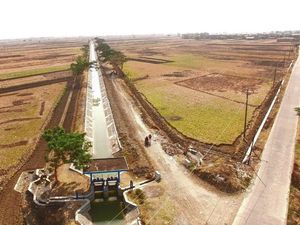 Mengintip Saluran Irigasi Penjaga Hidup 20 Ribu Ha Lahan Pertanian