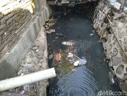 Atasi Masalah Sanitasi di Jakbar, Sudin LH Akan Koordinasi dengan Sudin SDA