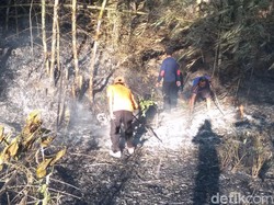 Kisah Tim SAR Selamatkan 13 Pendaki yang Terjebak di Kebakaran Gunung Raung