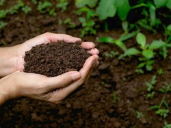 Hari Tanah Sedunia 5 Desember 2025: Tema dan Cara Merayakan