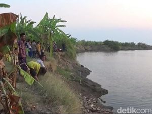 Fenomena Penampakan Buaya di Lamongan Jadi Tontonan Warga Saat Senja