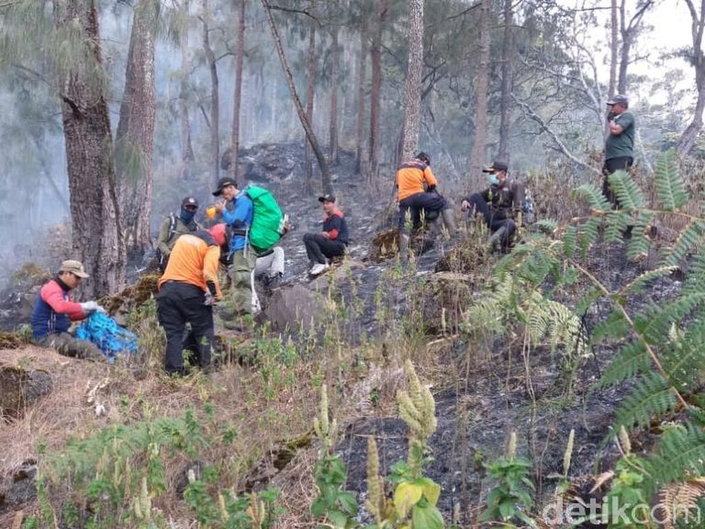 21,5 Hektar Hutan Konservasi di Gunung Arjuno Ludes Terbakar 21,5 Hektar Hutan Konservasi di Gunung Arjuno Ludes Terbakar