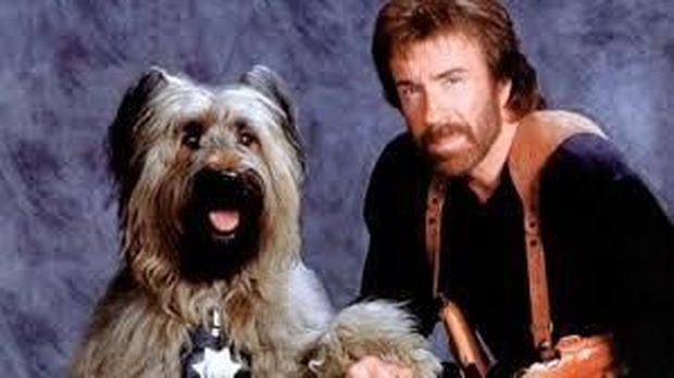 Film Top Dog