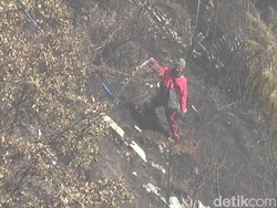 Kebakaran Bukit Penanjakan Bromo Padam, Petugas Masih Sisir Sisa Api