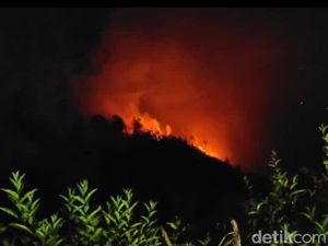 Api yang Membakar Bukit Penanjakan Bromo Belum Padam Api yang Membakar Bukit Penanjakan Bromo Belum Padam
